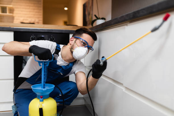 Best Affordable Pest Control Services  in Conning Towers Nautilus Park, CT