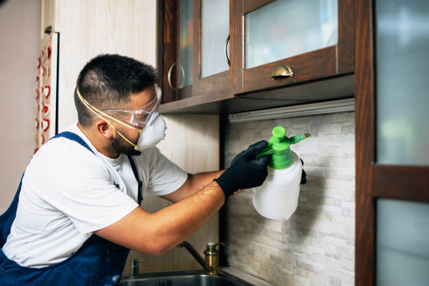 Best Emergency Pest Control  in Conning Towers Nautilus Park, CT