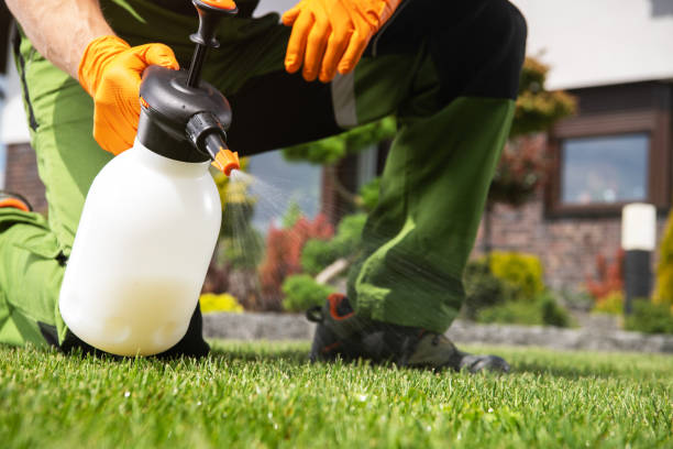 Best Affordable Pest Control Services  in Conning Towers Nautilus Park, CT