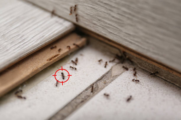 Pest Control for Restaurants in Conning Towers Nautilus Park, CT