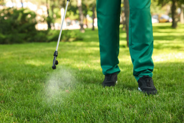 Best Mosquito Control Services  in Conning Towers Nautilus Park, CT