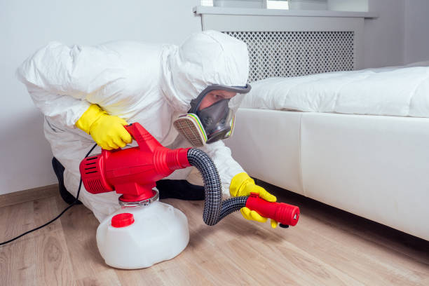 Best Best Pest Control Companies  in Conning Towers Nautilus Park, CT