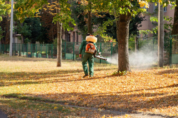 Best Exterminator Services  in Conning Towers Nautilus Park, CT