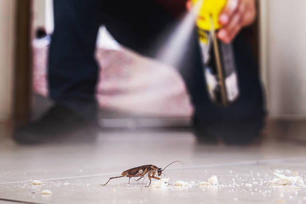 Best Pest Inspection Near Me  in Conning Towers Nautilus Park, CT