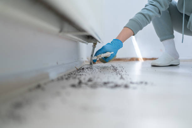 Best Pest Control Near Me  in Conning Towers Nautilus Park, CT